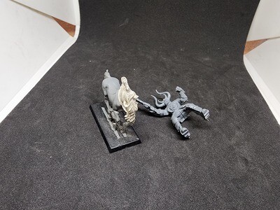 Used Warhammer Mounted Model #1 (AoS/Old World)