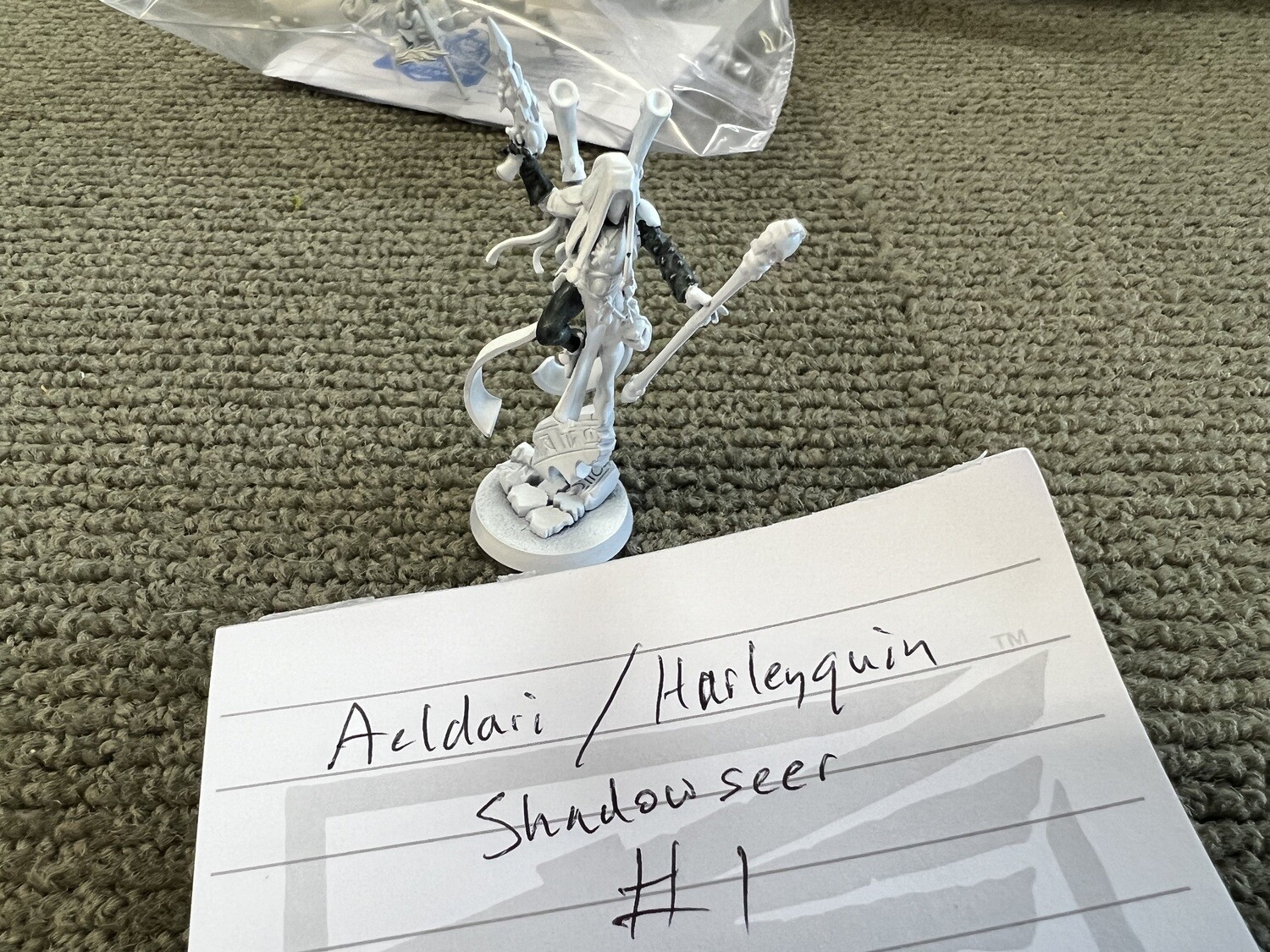 Harlequin Aeldari Shadowseer #1