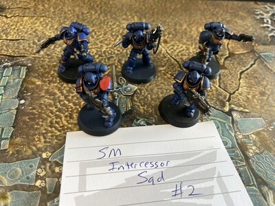 Space Marines Intercessor Squad #2