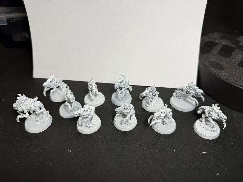 NEUROGAUNTS TYRANIDS USED