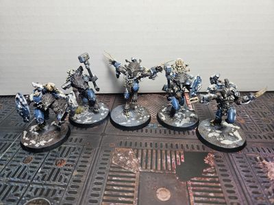 USED WARHAMMER 40K SPACE WOLVES Wulfen