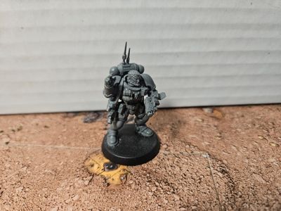 USED WARHAMMER SPACE MARINE Lt. In Revier