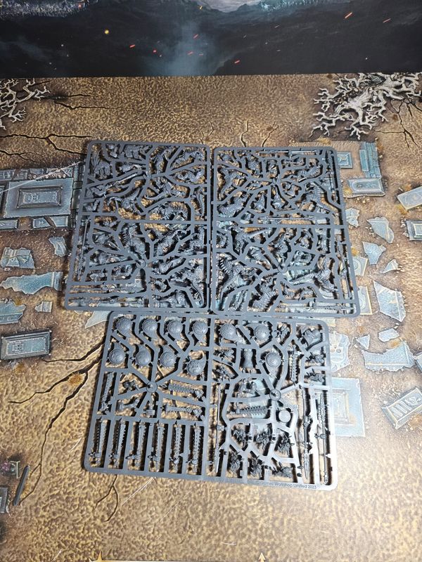 Seraphon: Sarus Warriors NOS