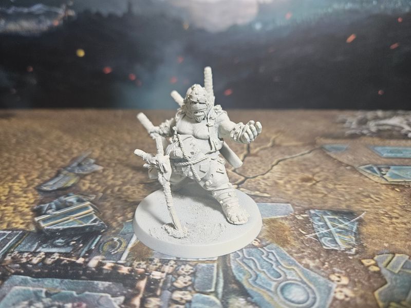 Ogre Kingdoms: Ninja