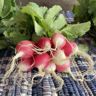 16 Weeks of Beyond-Fresh Produce -  Full Share!!