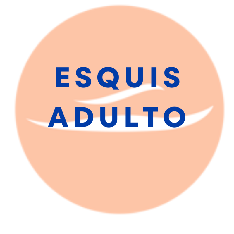 6 DIAS