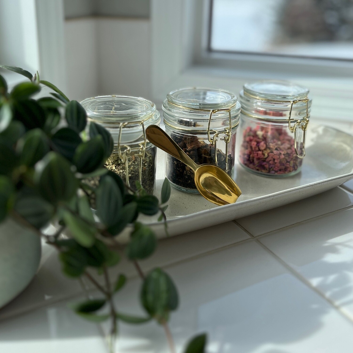 Storage Jar