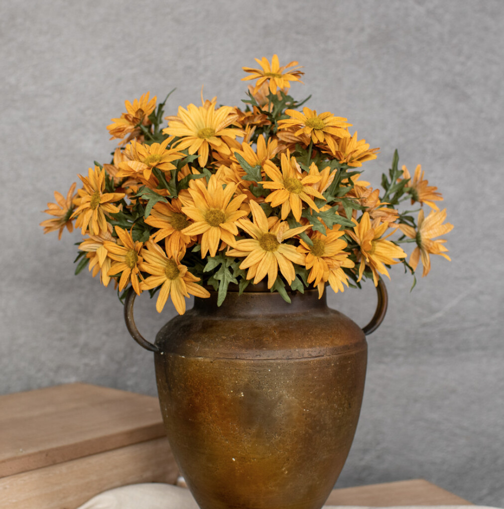 Old Gold Daisy Pick
