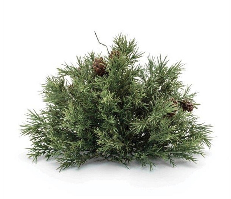 Mixed Pine Half Orb