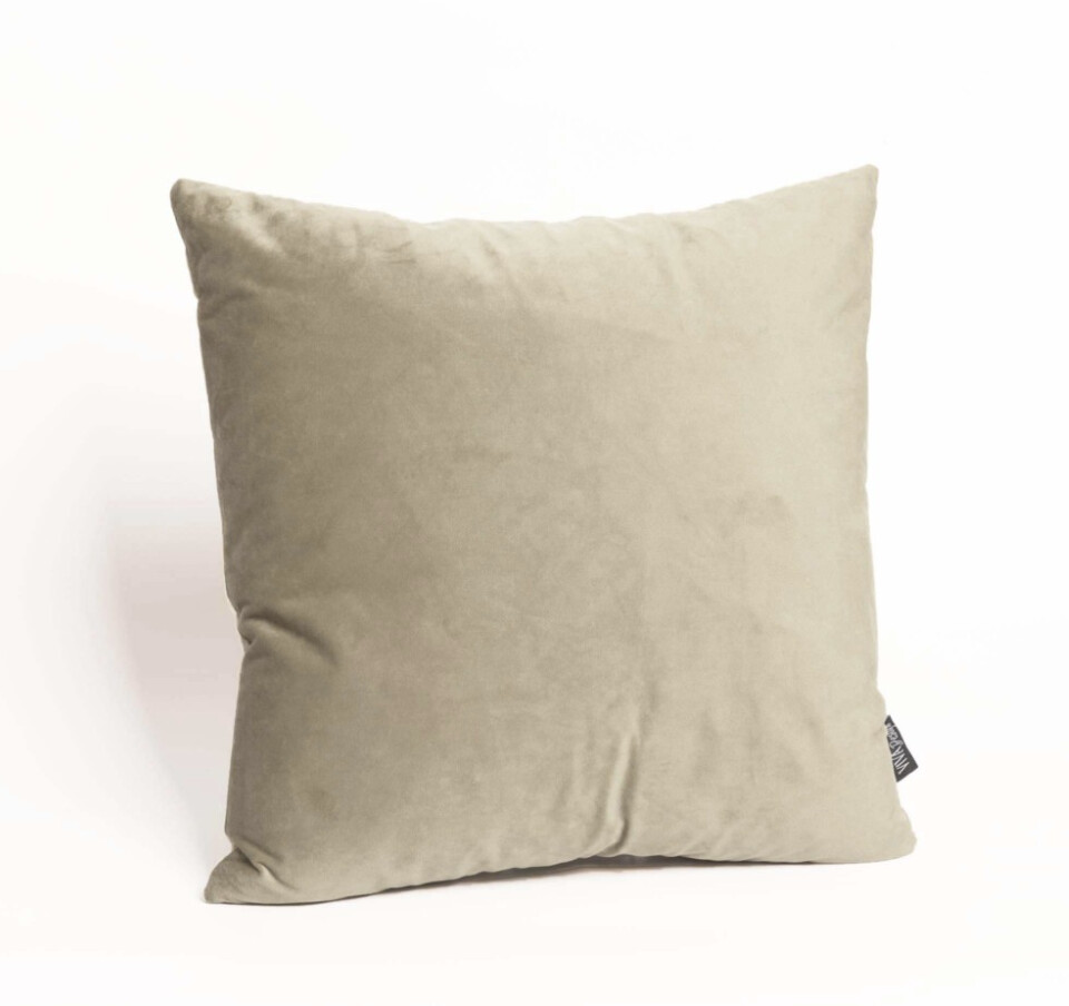 Cream Velvet Pillow