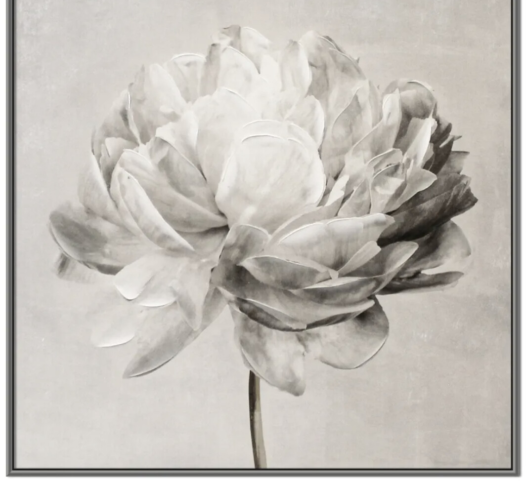 Petal Wall Art
