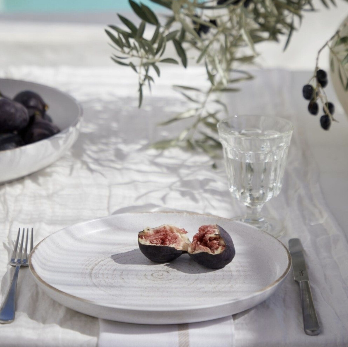 Vermont Dish Collection, Piece: Dinner Plate