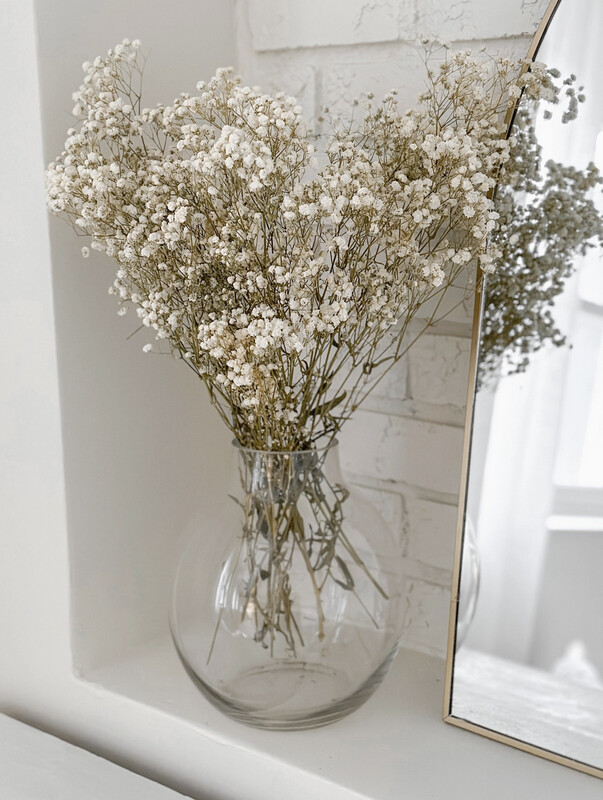 Natural Preserved Baby's Breath