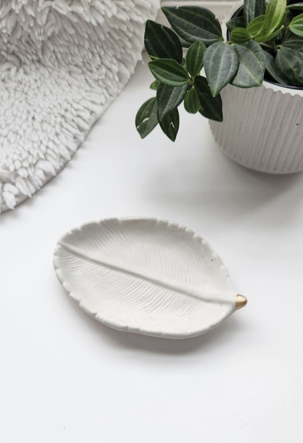 Peperomia Tray