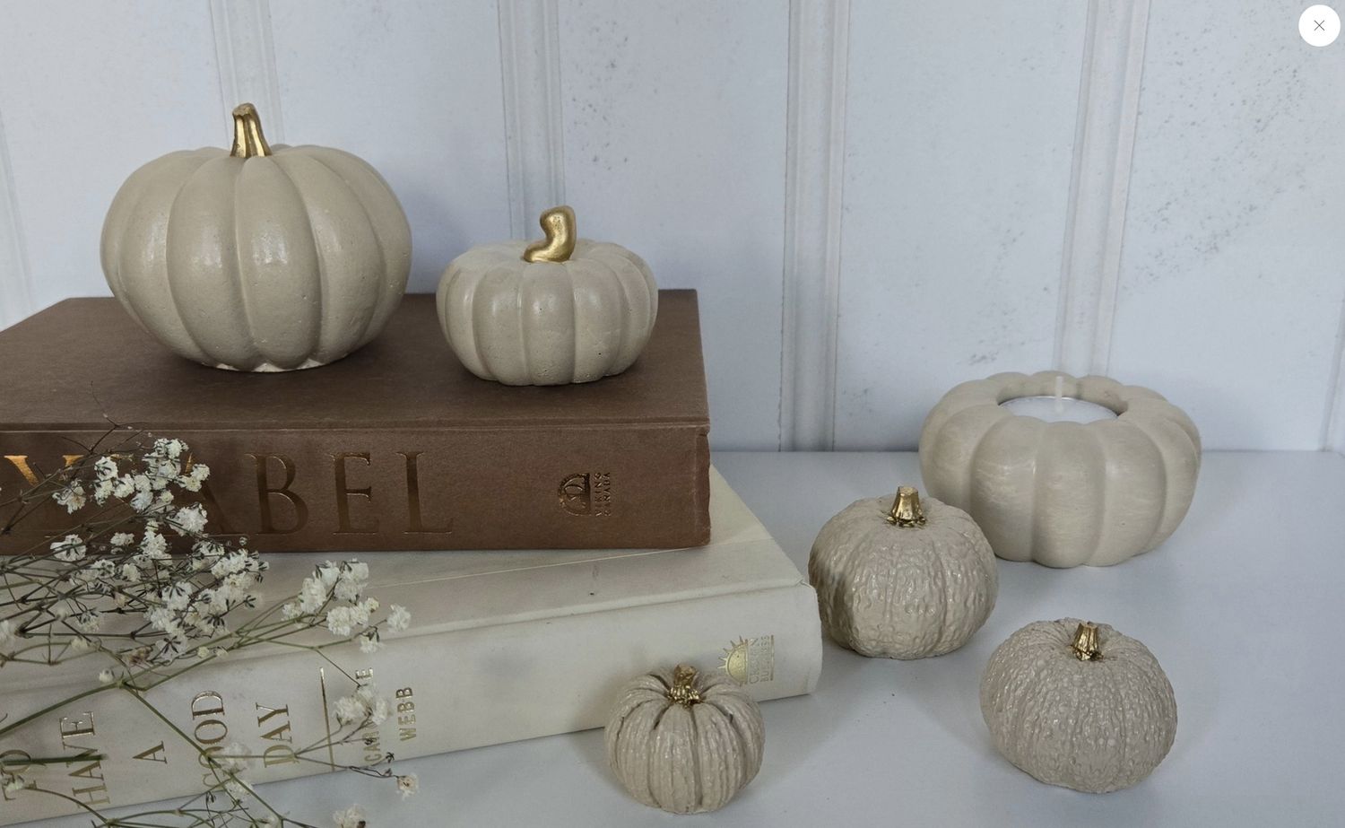 Fall Pumpkin | Cream