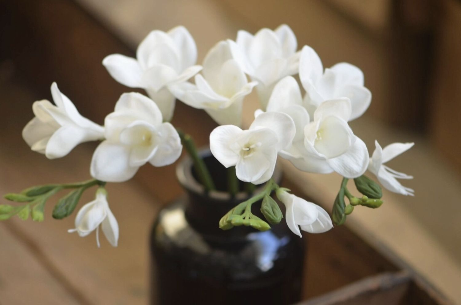 Real Touch Freesia Stem | White