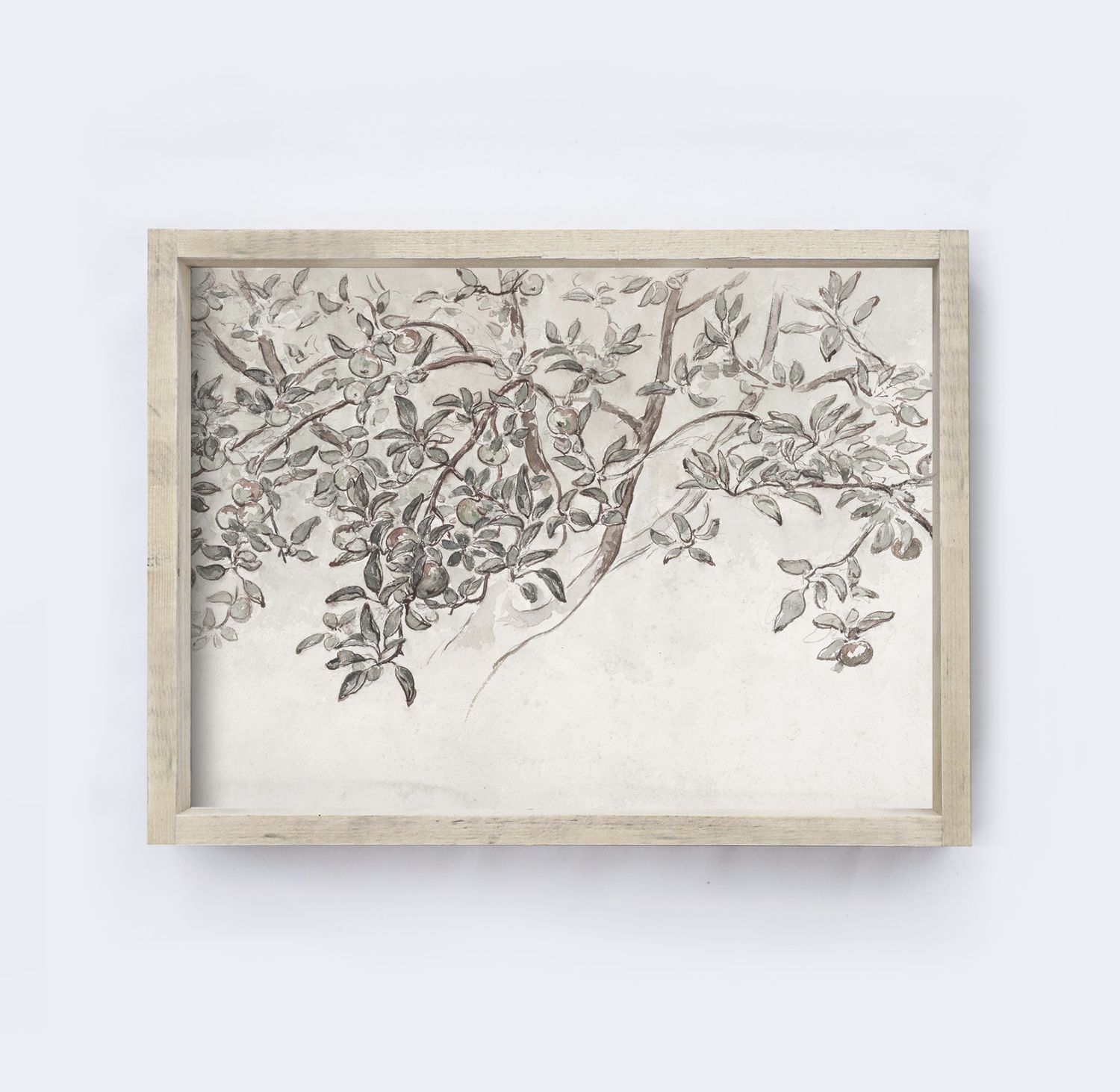 Vintage Art Print |  Apple Blossom