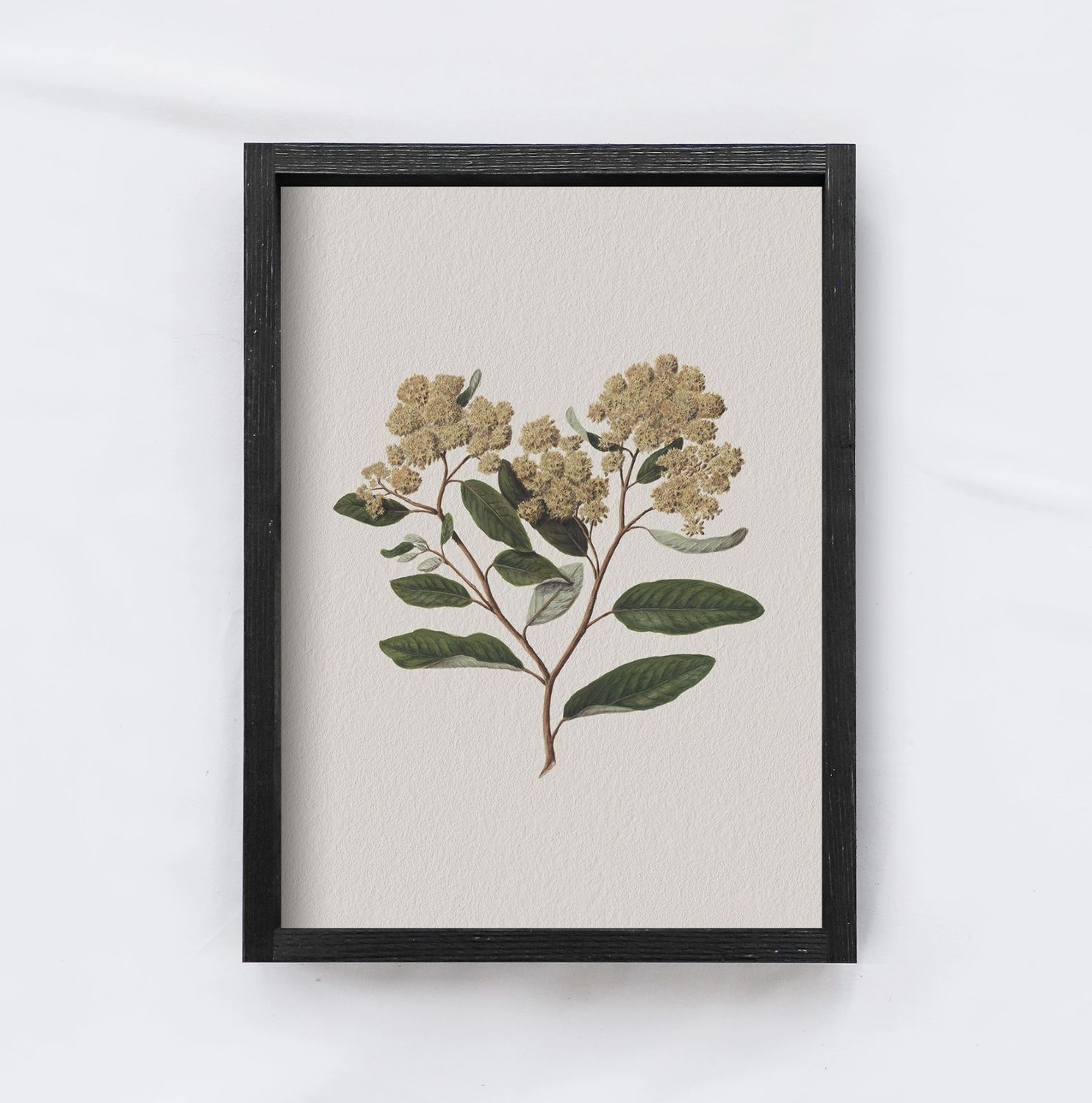 Vintage Art Print | Fall Floral Botanical