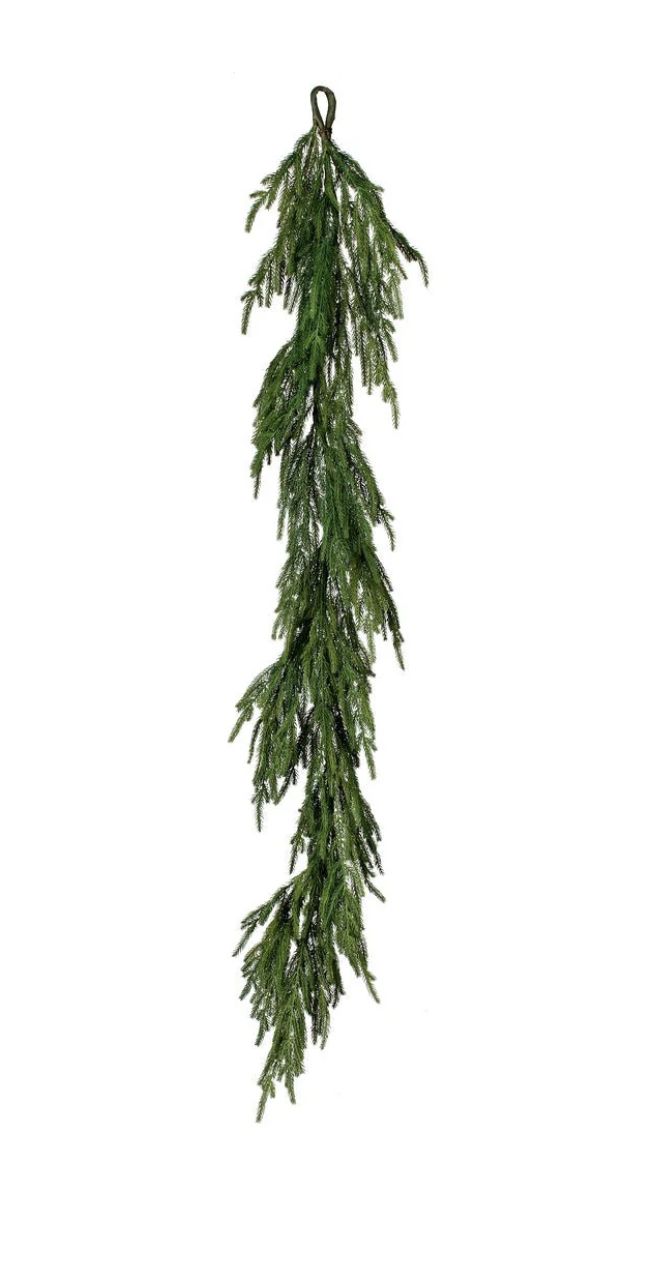 Fresh Touch Norfolk Pine | 5&#39;