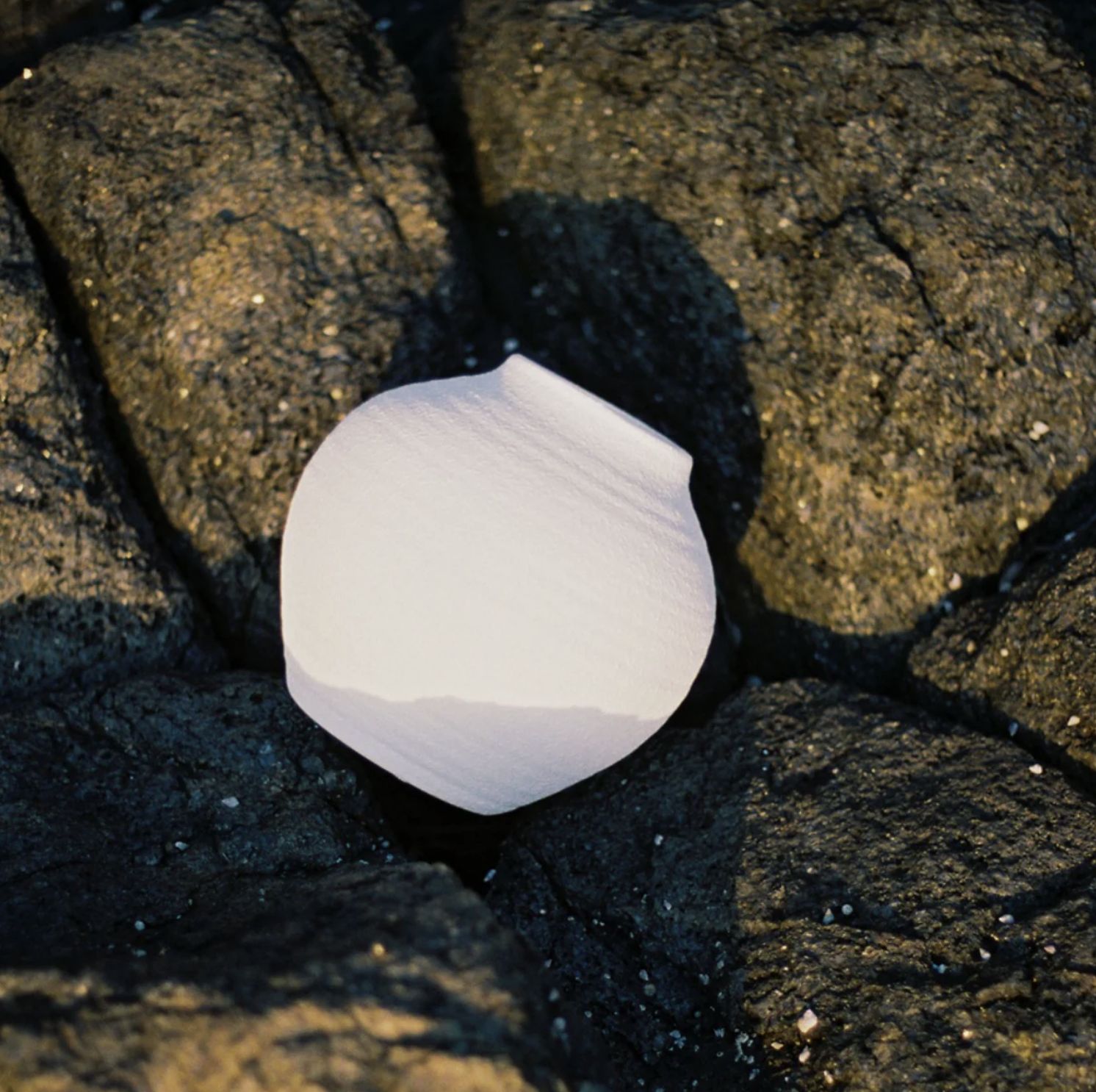 Serres Stoneware | Small