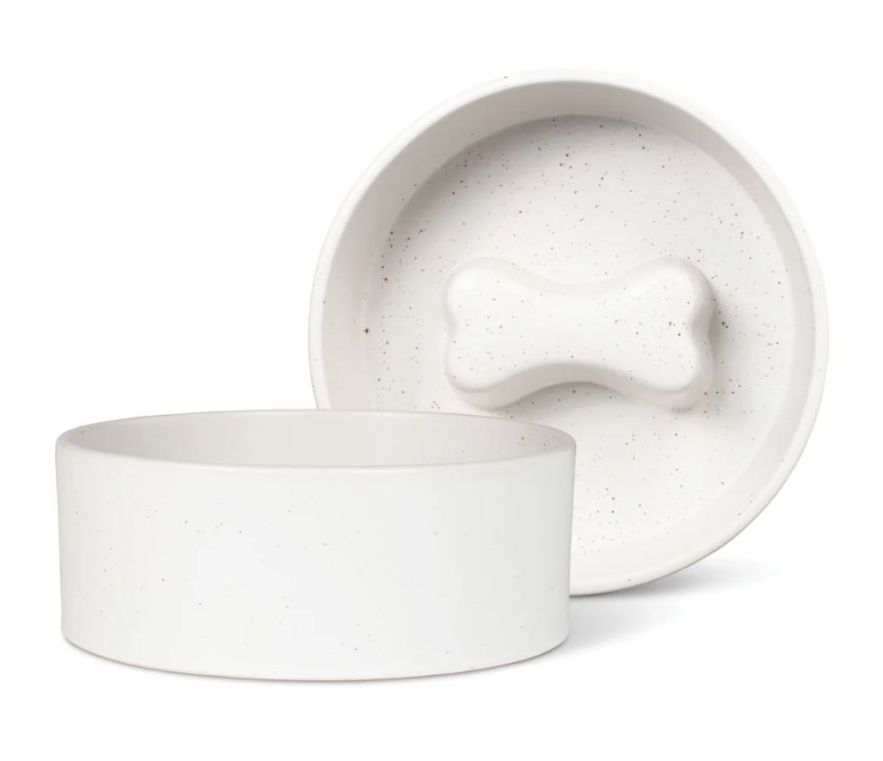 Pet Bowl | Slow Feeder