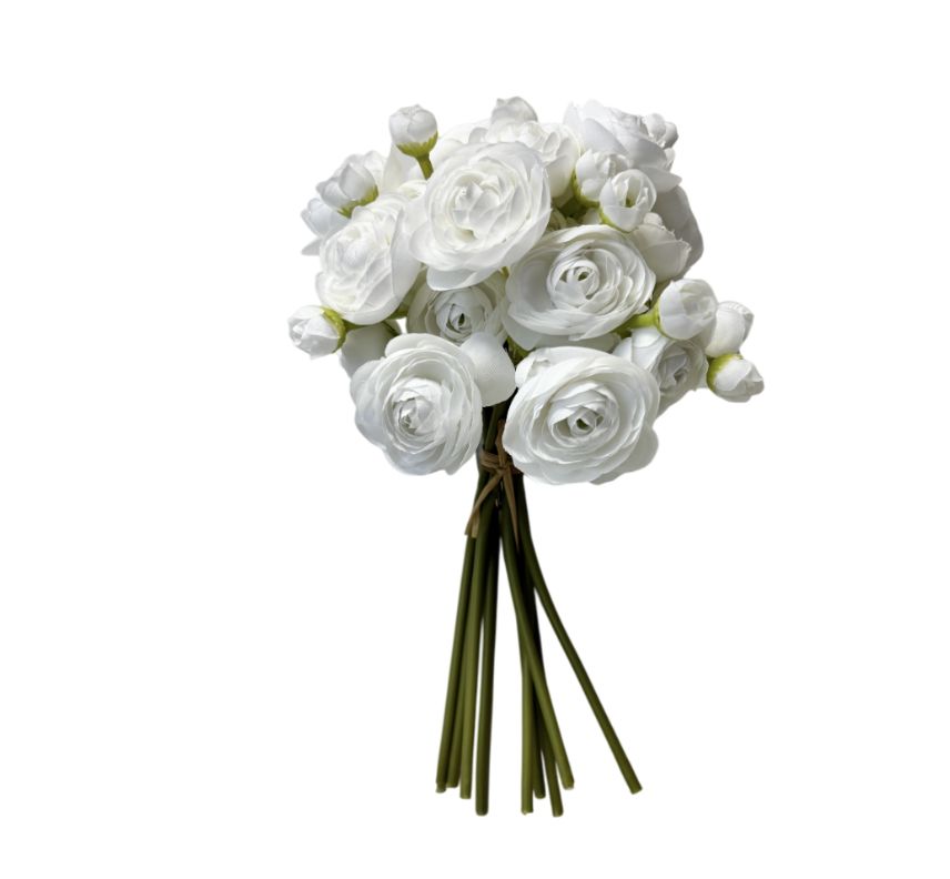 Ranunculus | White