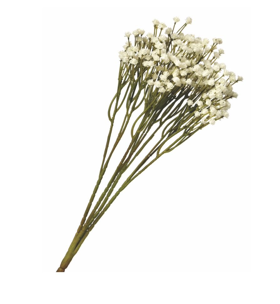 Baby&#39;s Breath