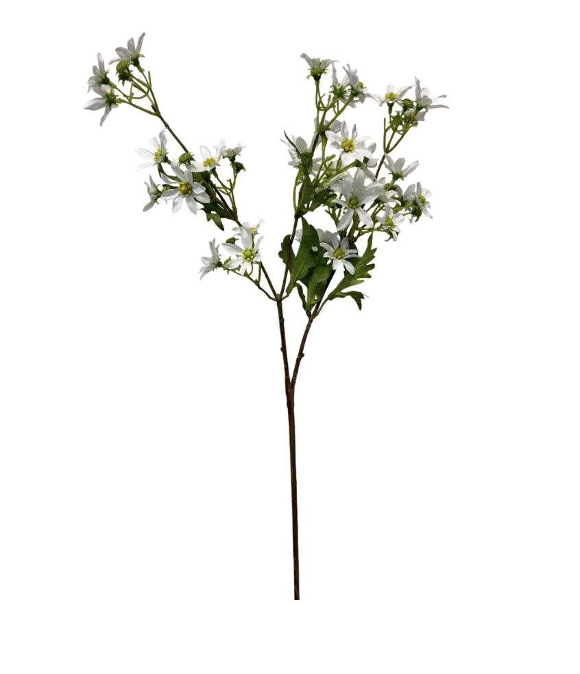 Chamomile Spray