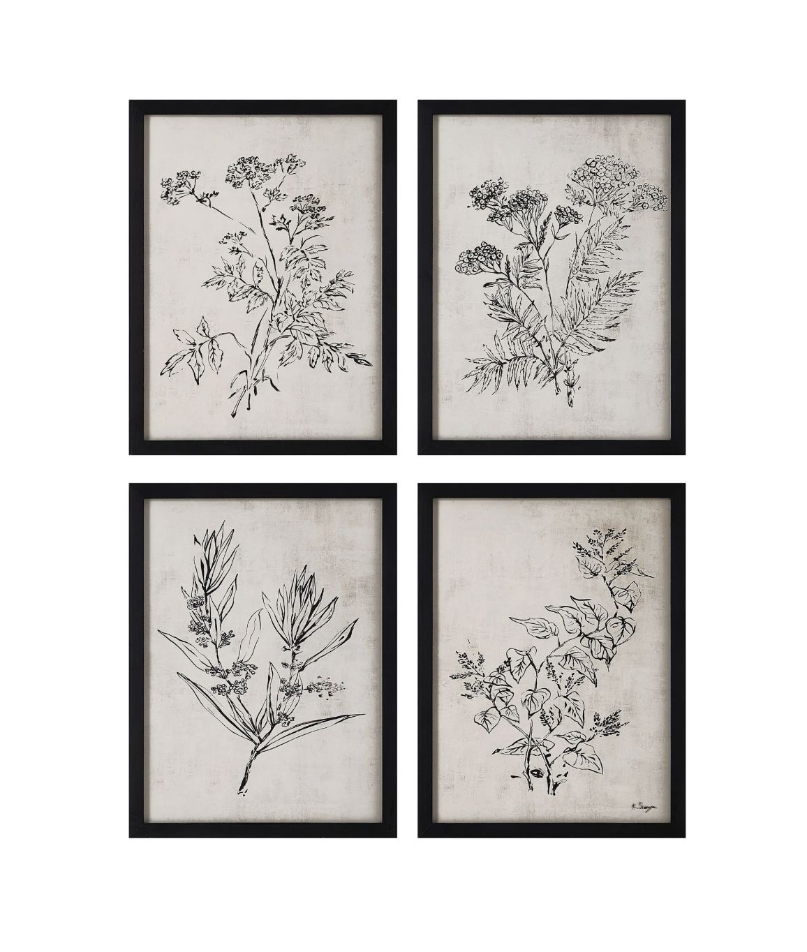 Basset Pictures | Set of 4
