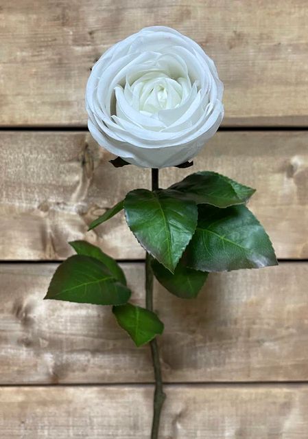 Fresh Touch Cabbage Rose Spray