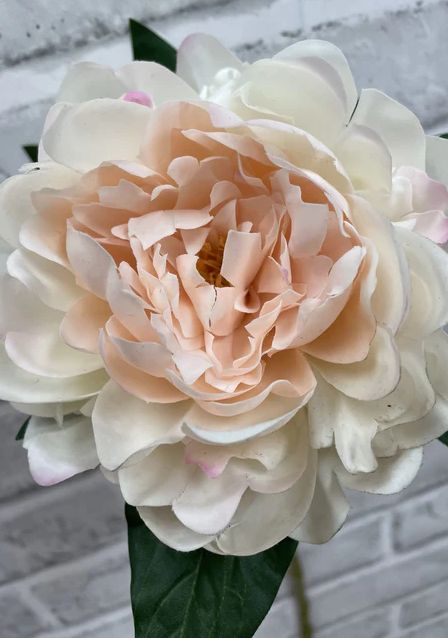 Fresh Touch Peony Stem