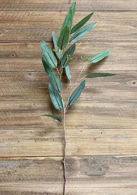 Fresh Touch Willow Eucalyptus