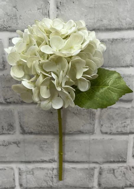 Hydrangea Stem | Real Touch