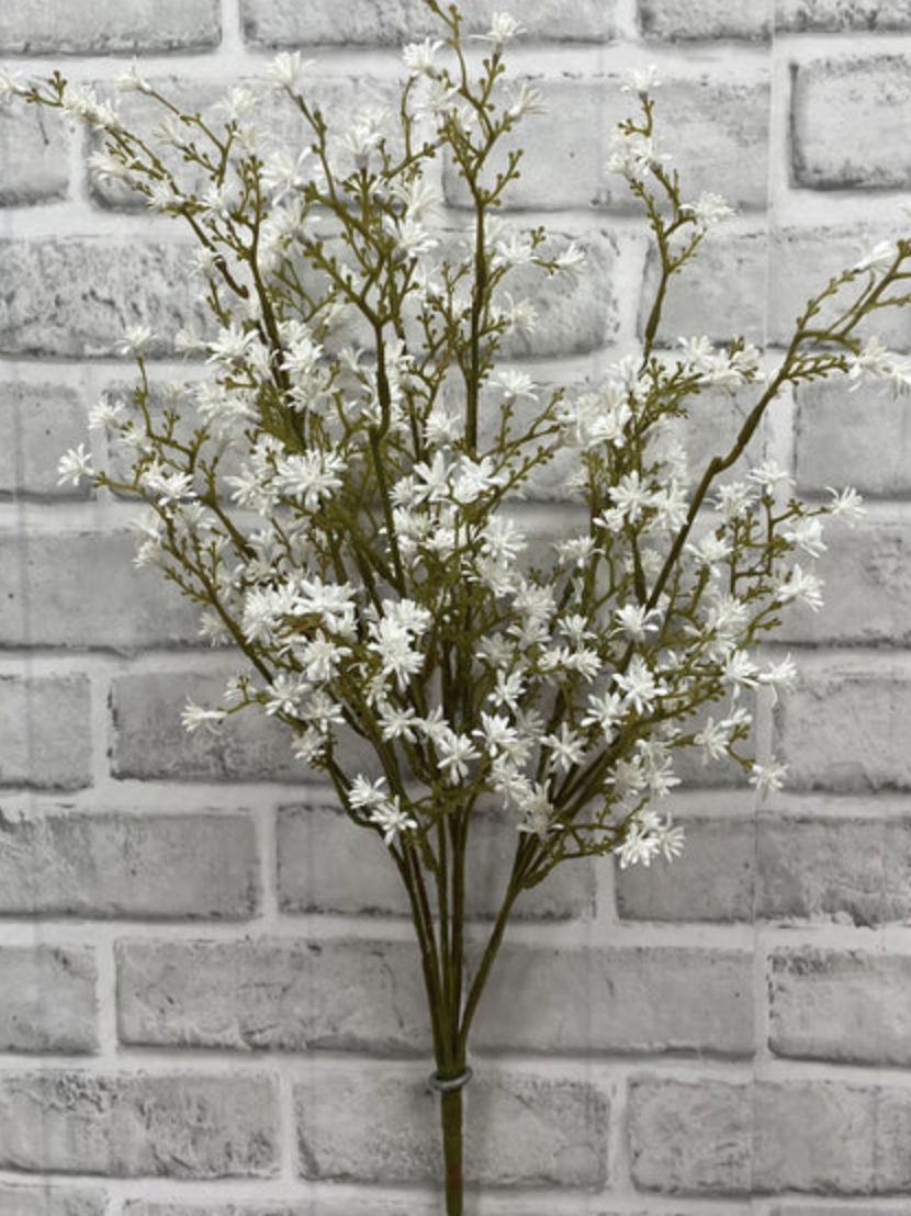 White Seedum Seed Bush