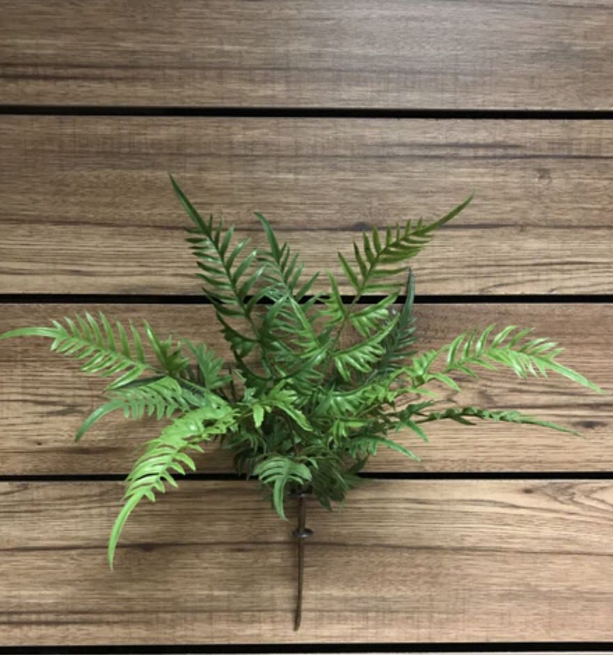 Fresh Touch Lace Fern Bush