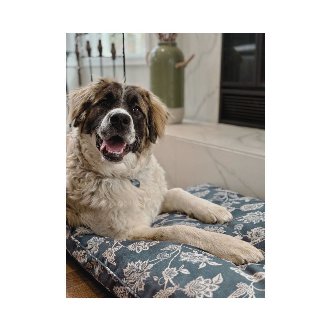 Dog Bed | Idienne | Large
