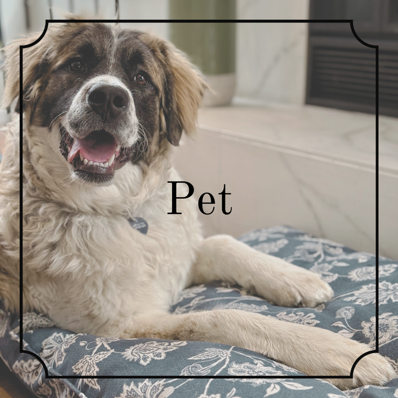 Pet