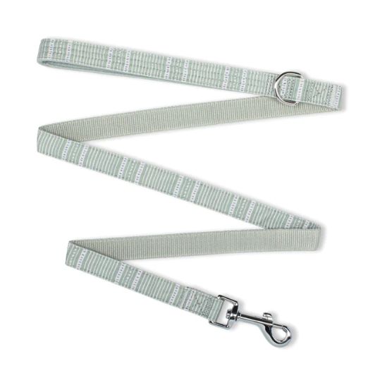 Dog Leash
