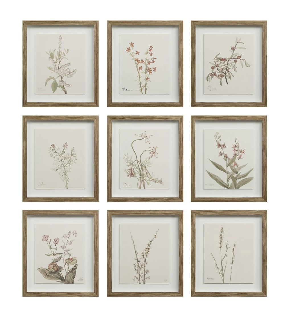 Crema Plant Art | Set of 9
