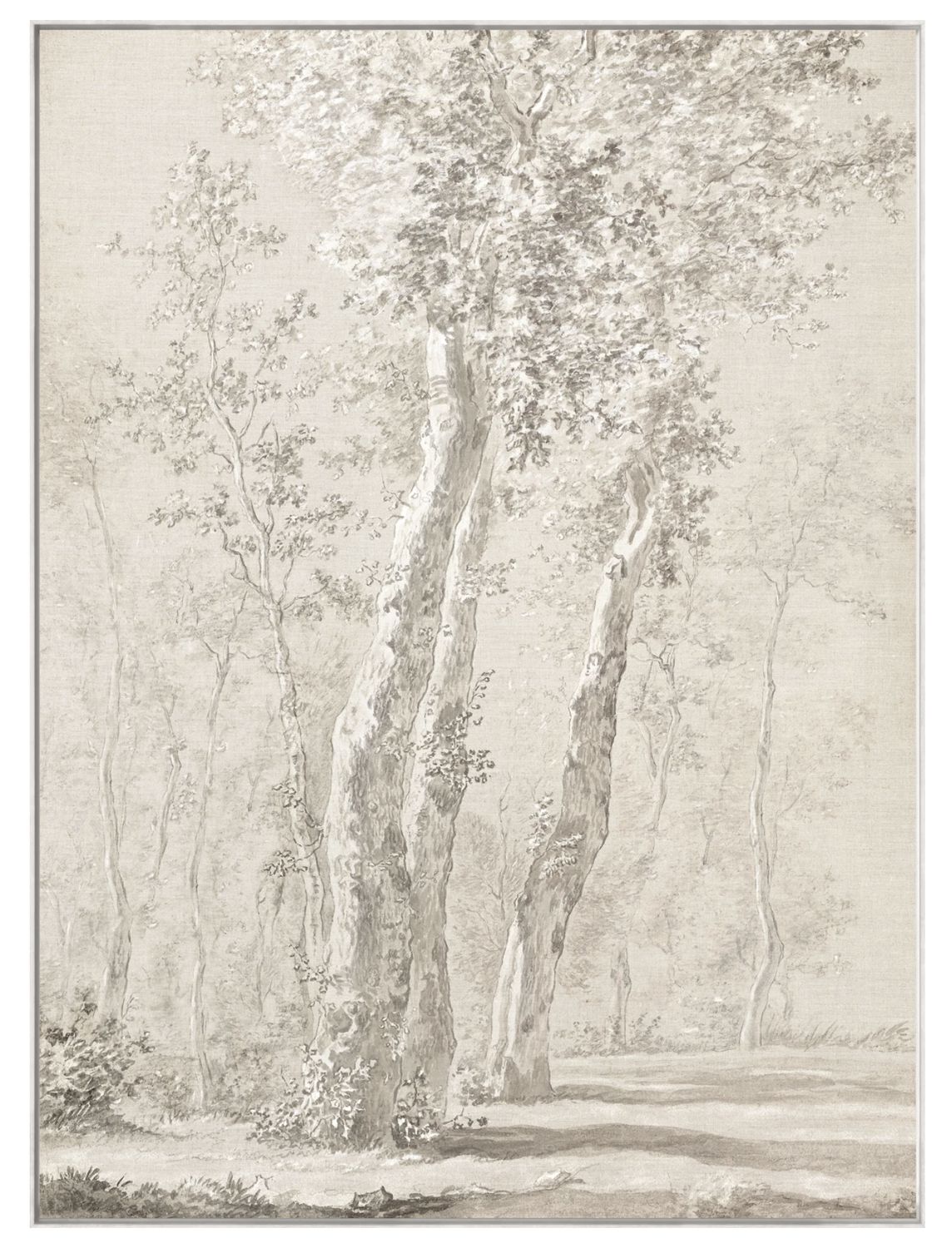 Sunlit Trees