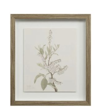 Cream Plant Art, Style: 1