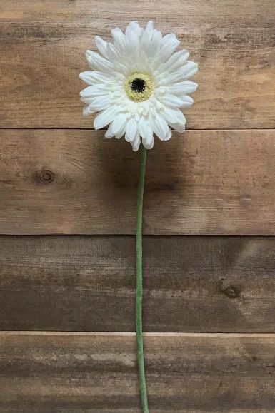 Real Touch Gerbera | White