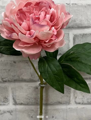 Fresh Touch Peony | Pink