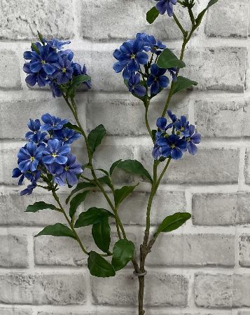 Lavender Blue Phlox Stem