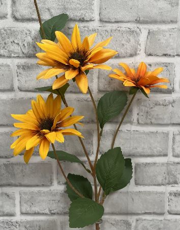 Yellow Black Eye Susan Stem