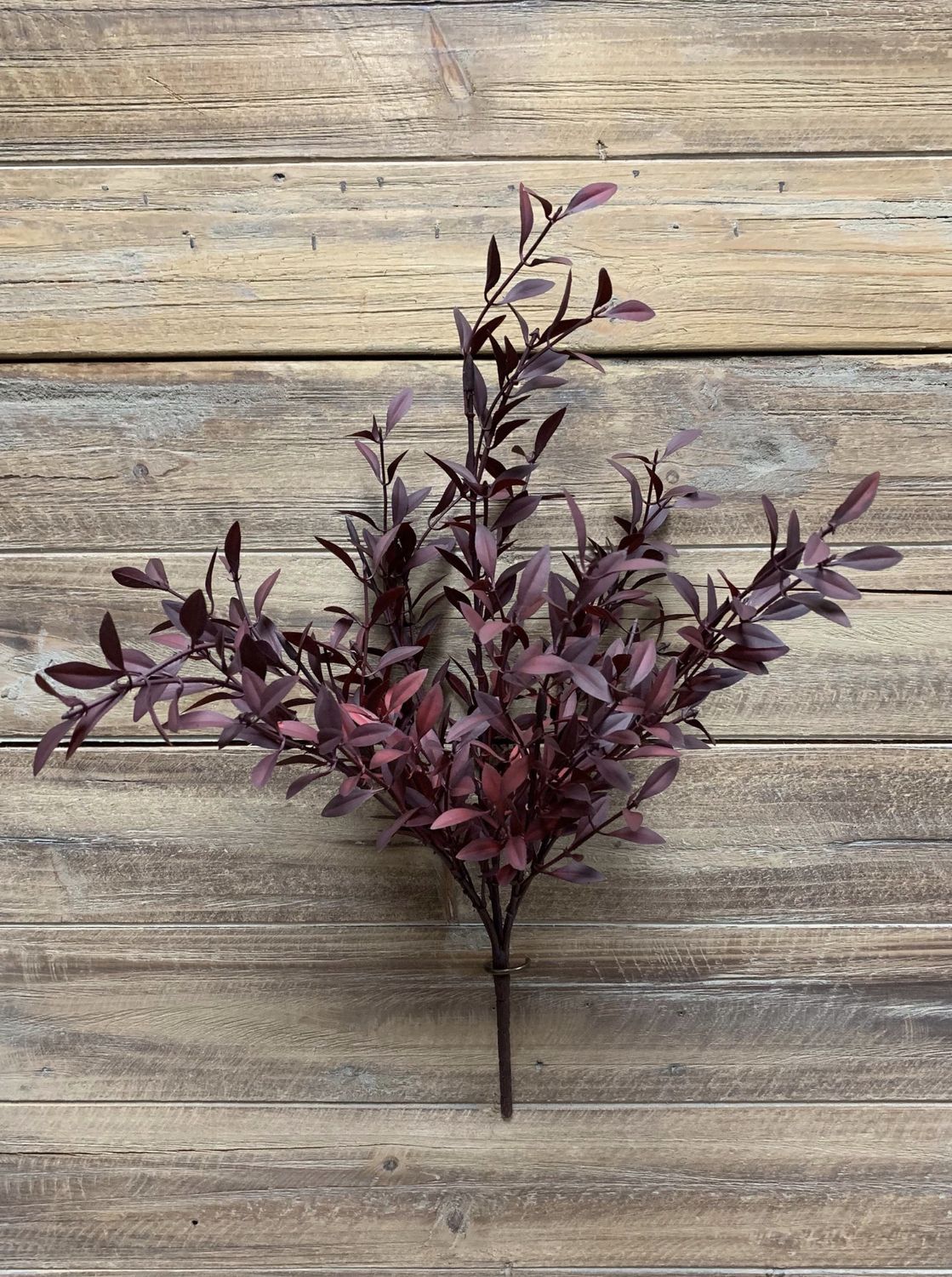 Burgundy Willow Leaves Bush | 18&quot;