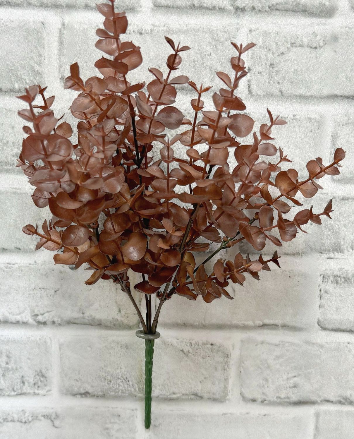 Fall Eucalyptus Bush
