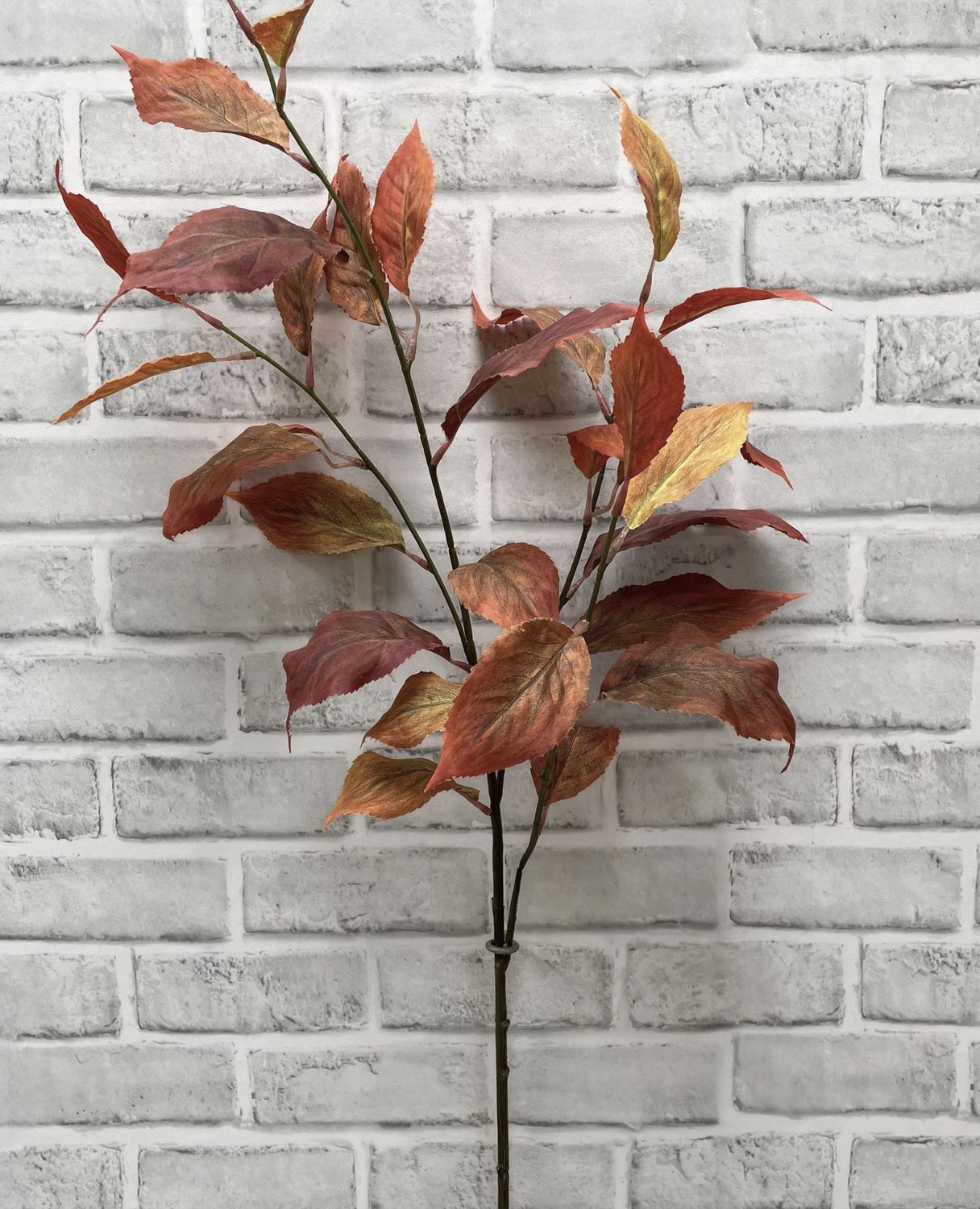 Fall Elm Leaf Spray