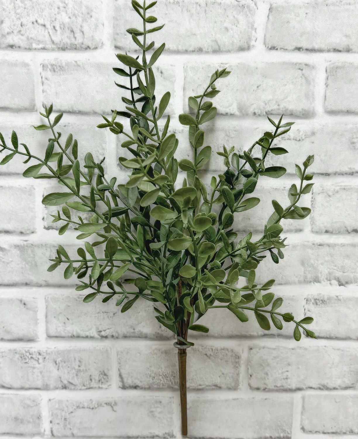 Tea Leaf Bush
