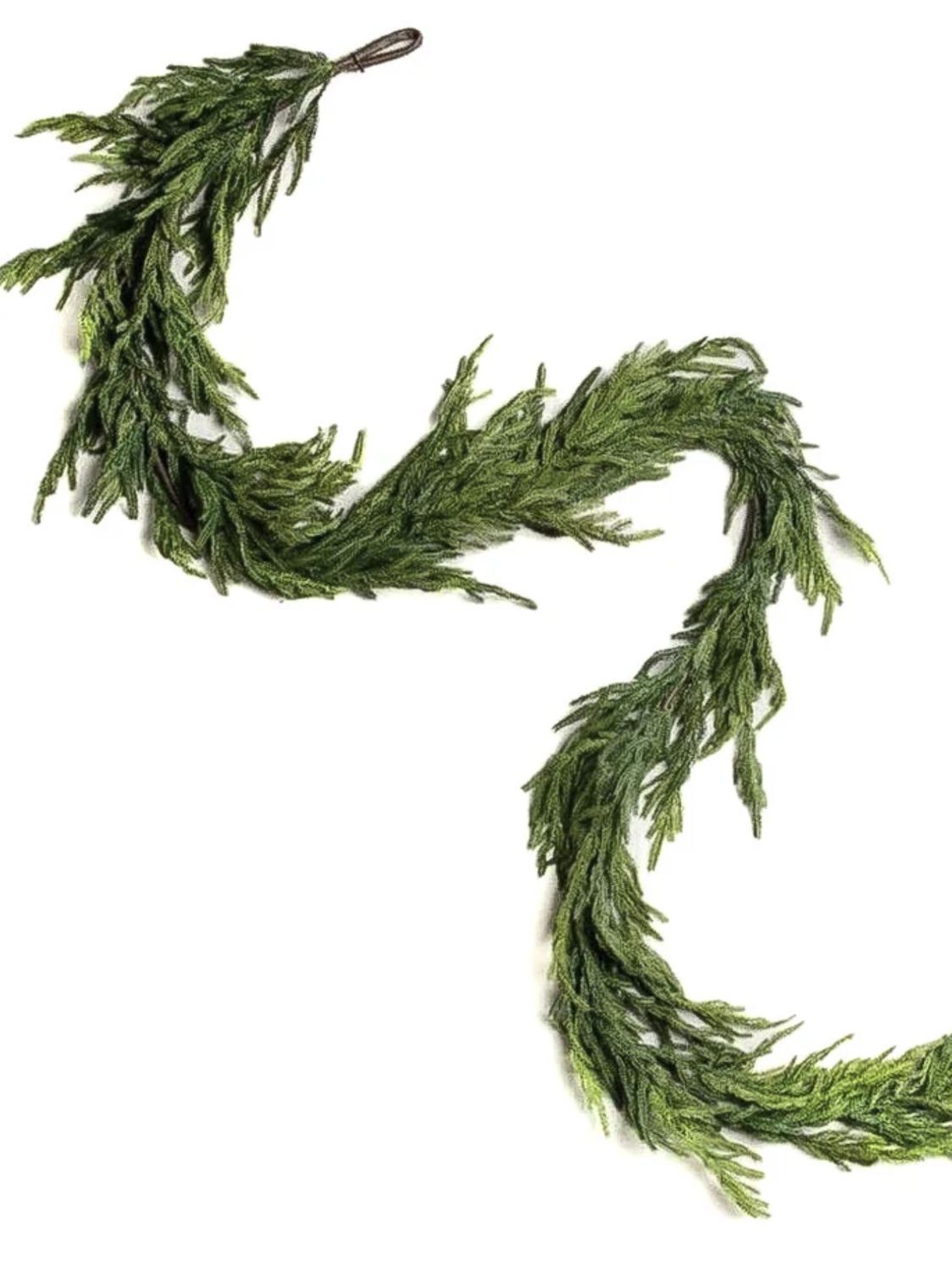 Fresh Touch Norfolk Pine Garland | 10&#39;